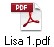 Lisa 1.pdf