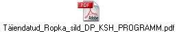 Täiendatud_Ropka_sild_DP_KSH_PROGRAMM.pdf