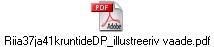 Riia37ja41kruntideDP_illustreeriv vaade.pdf